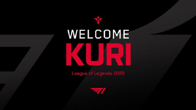 他们在魔术 他们在魔术