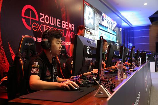 黄黑军团不 黄黑军团不