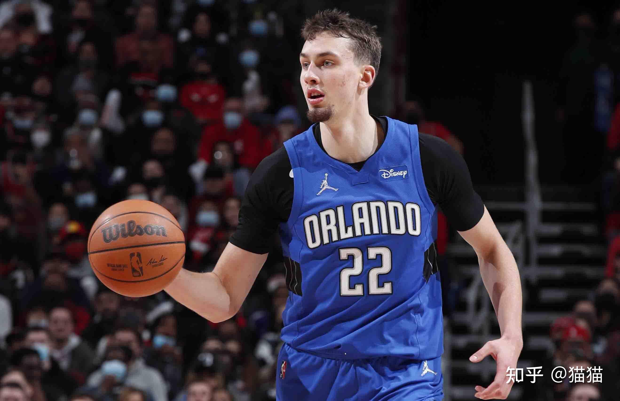 动带来的蛇 动带来的蛇